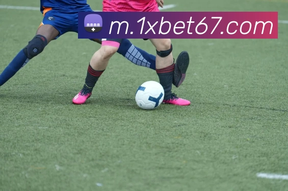 1xbet平台生态图